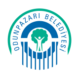 odunpazari